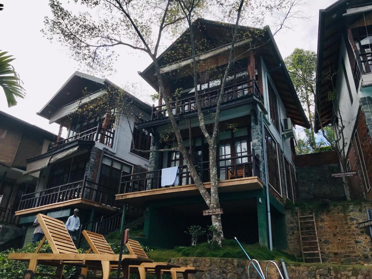 אלה Tina Nature Villa מראה חיצוני תמונה