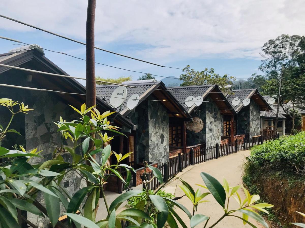אלה Tina Nature Villa מראה חיצוני תמונה