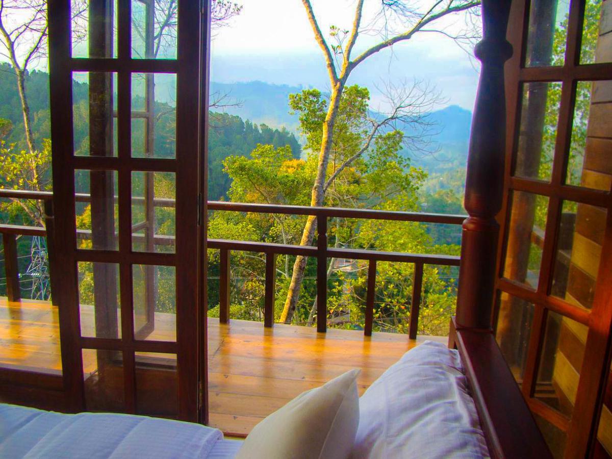 אלה Tina Nature Villa מראה חיצוני תמונה